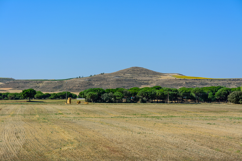 Zona arqueológica de Pintia